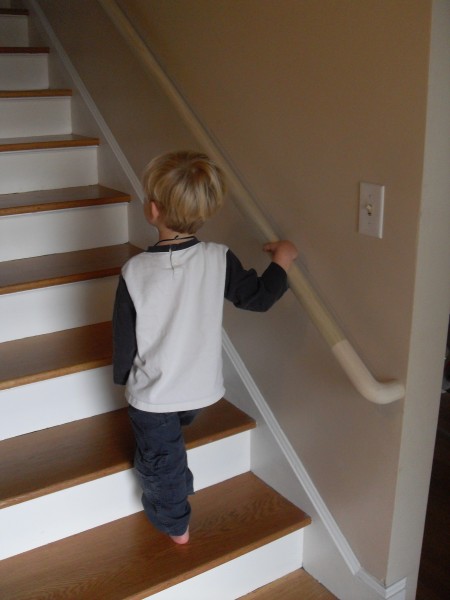 Little Dude Handrail